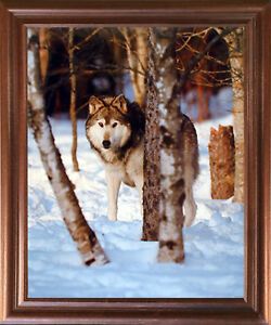 Grey Wolf In Snow Animal Wildlife Art Print Mahogany For Snow Wall Art (View 3 of 15)