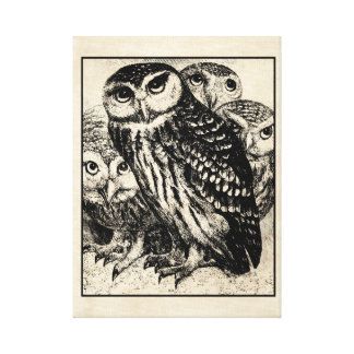 Owl Art, Posters & Framed Artwork | Zazzle.co (View 15 of 15)