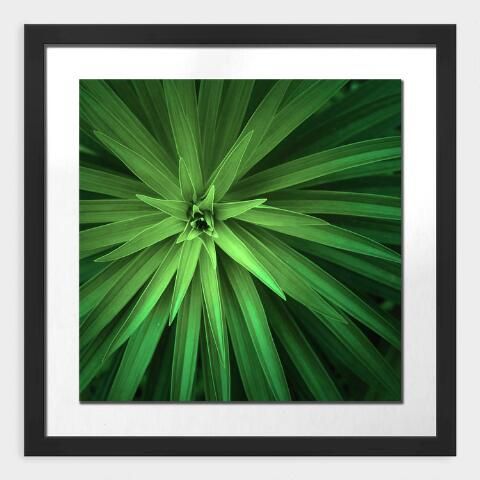 Palm Leaves Shadow Box Framed Wall Art | World Market Within Palm Leaves Wall Art (View 8 of 15)