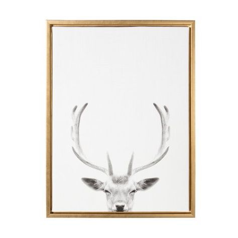 'Sylvie Deer With Antlers Black And White Portrait' Framed For Monochrome Framed Art Prints (View 6 of 15)