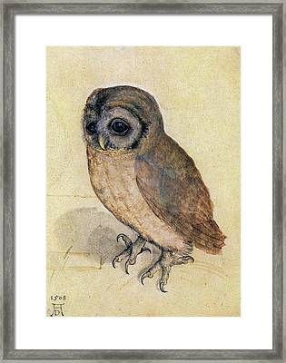 Tawny Owl Framed Art Prints | Fine Art America For The Owl Framed Art Prints (View 2 of 15)