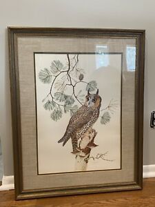 The Long Eared Owl , Robin Hill Signed Framed Art Print | Ebay With The Owl Framed Art Prints (View 6 of 15)
