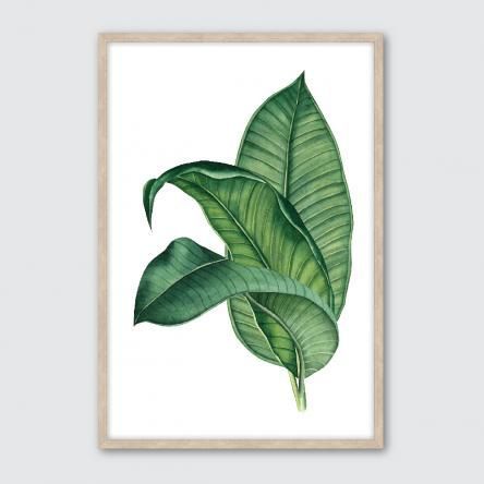 Tropical Spray #1 | Framed Giclee Art Print | Giclee Art Pertaining To Tropical Framed Art Prints (View 15 of 15)