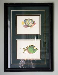 Vintage Jean Cassady Tropical Fish Prints Framed Matted Within Tropical Framed Art Prints (View 11 of 15)