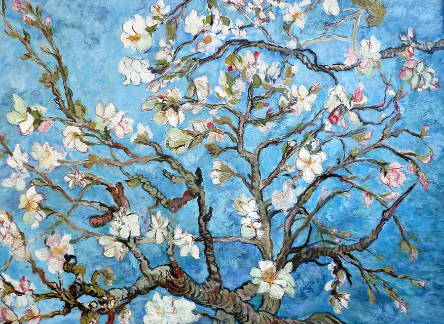 Almond Blossoms Paintingtom Roderick – Fine Art America With Almond Blossoms Wall Art (View 4 of 15)