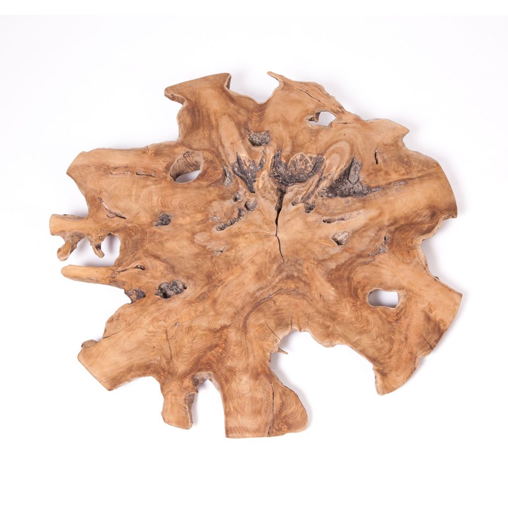Convex Teak Root Wall Decor – Zenporium With Roots Wood Wall Art (View 1 of 15)