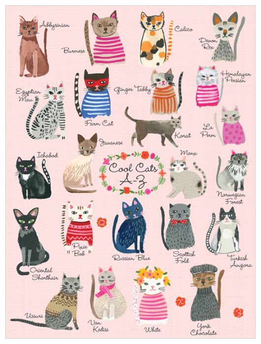 Cool Cats, Dogs & Cats Canvas Wall Art | Oopsy Daisy With Regard To Cats Wall Art (View 6 of 15)