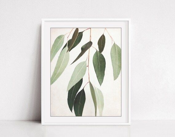 Eucalyptus Leaves Wall Art Print Botanical Print Sage Green – Etsy Italia Within Eucalyptus Leaves Wall Art (View 4 of 15)