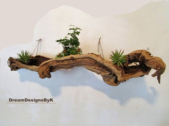 Extra Large 50" Unique Tree Root, Driftwood Wall Art – Large Driftwood  Pieces Root Natural Shelf, Driftwood Sculpture,Rustic Shelf | Driftwood Wall  Art, Unique Trees, Driftwood Sculpture For Roots Wood Wall Art (View 9 of 15)