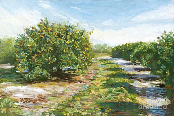 Florida Orange Grove Art – Fine Art America Inside Orange Grove Wall Art (View 11 of 15)