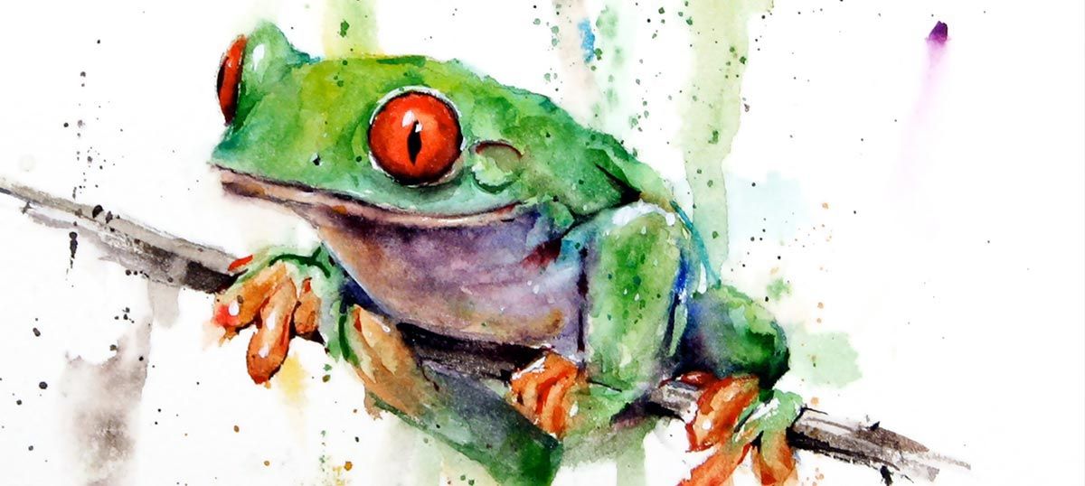 Frog Art: Canvas Prints & Wall Art | Icanvas Throughout Frog Wall Art (View 4 of 15)