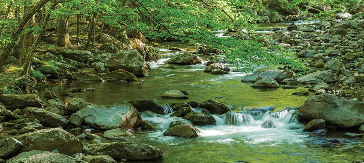 Great Smoky Mountain National Park: Canvas Prints & Wall Art Pertaining To Smoky Mountain Wall Art (View 6 of 15)