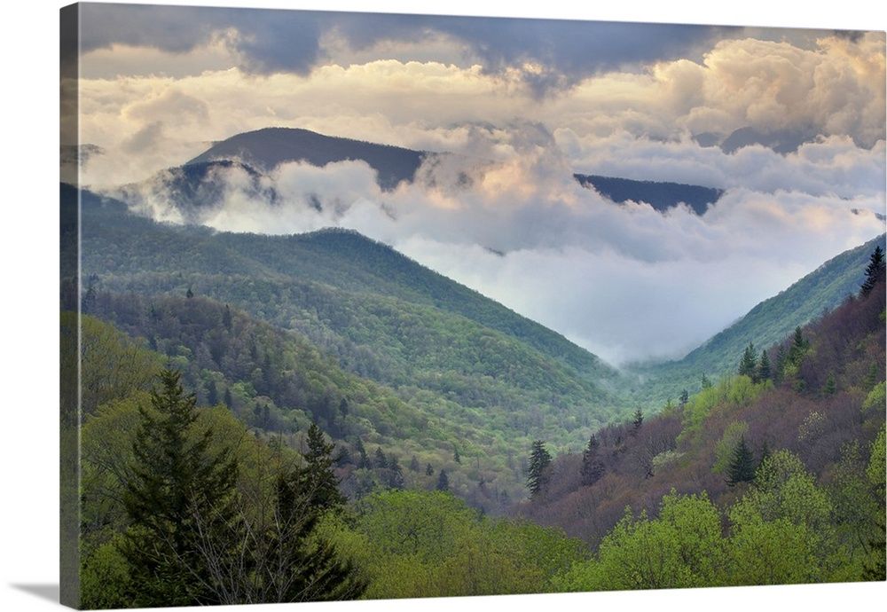 Great Smoky Mountains National Park, North Carolina Wall Art, Canvas  Prints, Framed Prints, Wall Peels | Great Big Canvas With Smoky Mountain Wall Art (View 3 of 15)