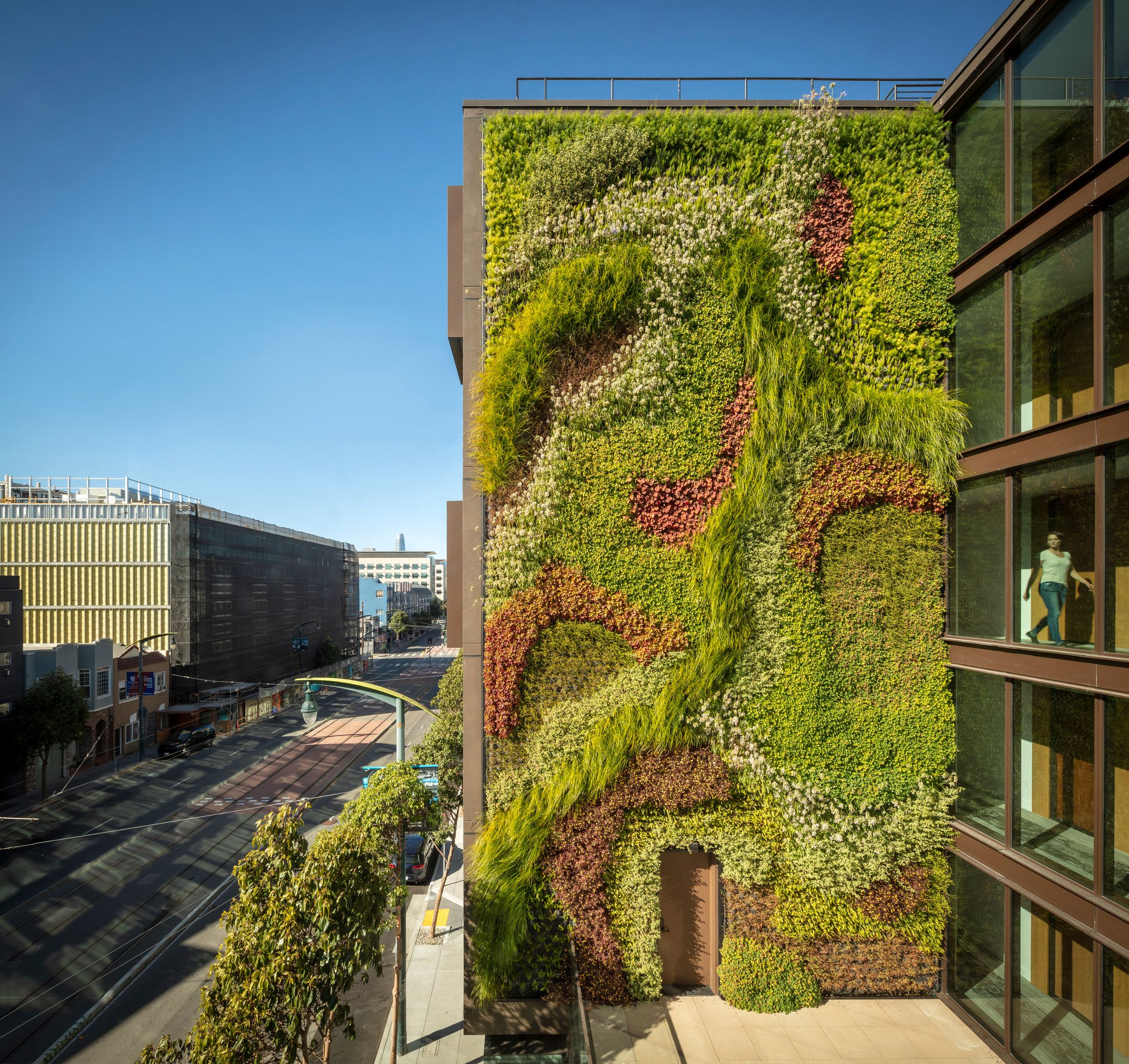 Green Wall Grows Five Storeys Up 2177 Third Street In San Francisco Inside California Living Wall Art (View 5 of 15)