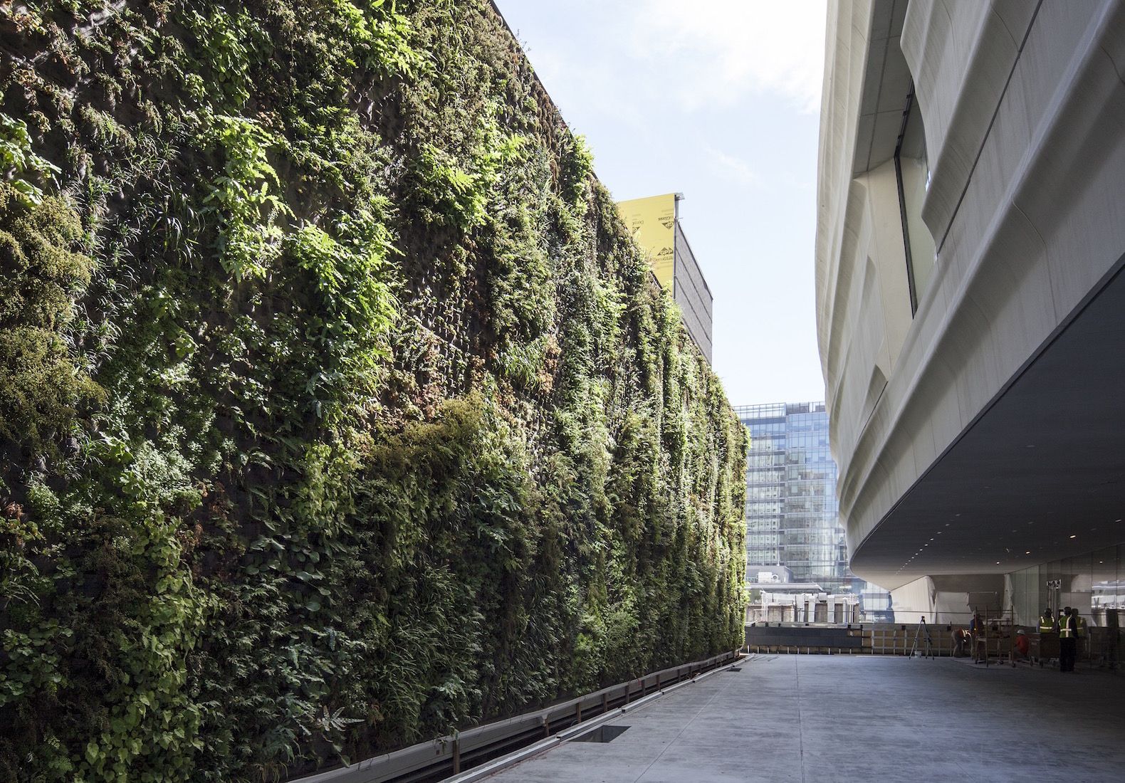 Nation'S Largest Green Wall Of Native Plants Breathes Life Into Sfmoma With Regard To California Living Wall Art (View 7 of 15)