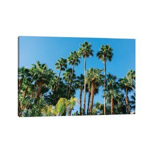 Palm Springs Wall Art | Wayfair For Palm Springs Wall Art (View 15 of 15)