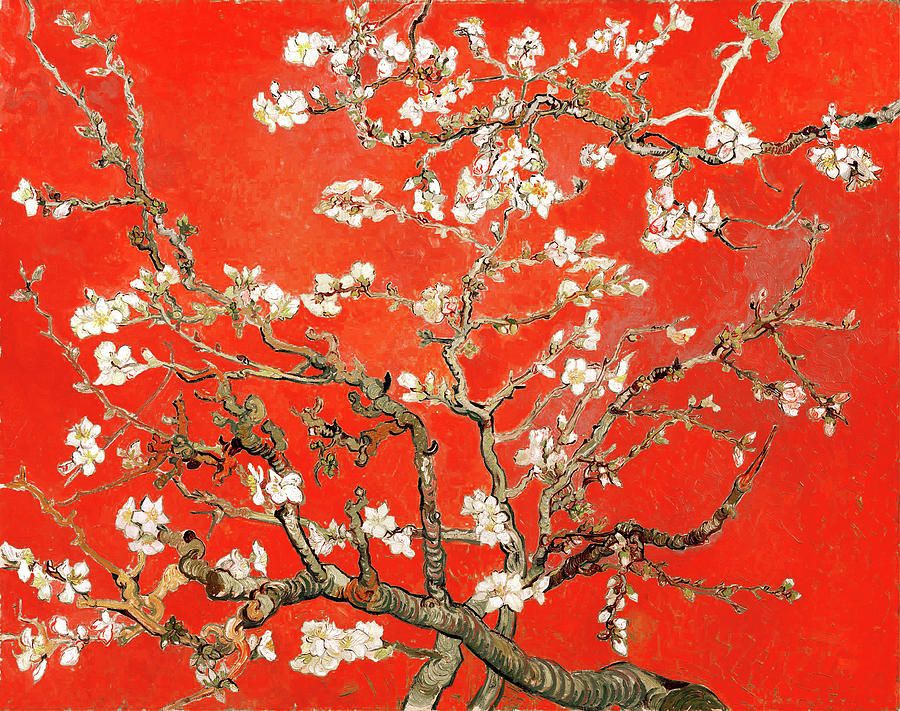 Red Almond Blossoms Paintingvincent Van Gogh – Fine Art America Within Almond Blossoms Wall Art (View 9 of 15)
