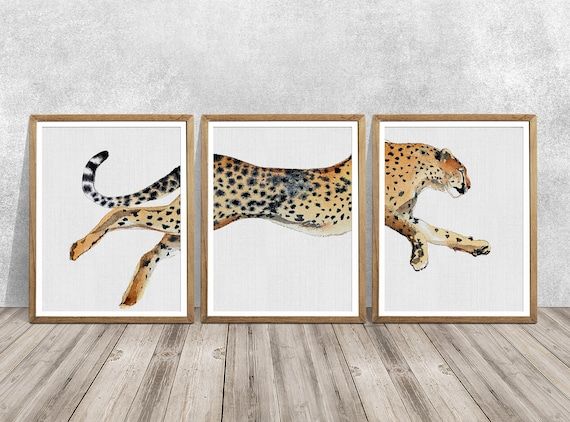 Stampa Ghepardo Set Di 3 Cheetah Art Cheetah Wall Art Big Cat – Etsy Italia Pertaining To Cheetah Wall Art (View 2 of 15)