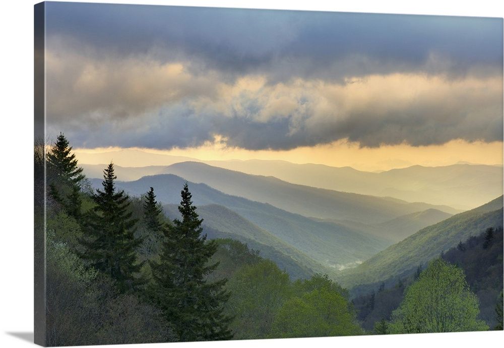 Sunrise View Of Oconaluftee Valley, Great Smoky Mountains National Park,  North Carolina Wall Art, Canvas Prints, Framed Prints, Wall Peels | Great  Big Canvas Intended For Smoky Mountain Wall Art (View 13 of 15)