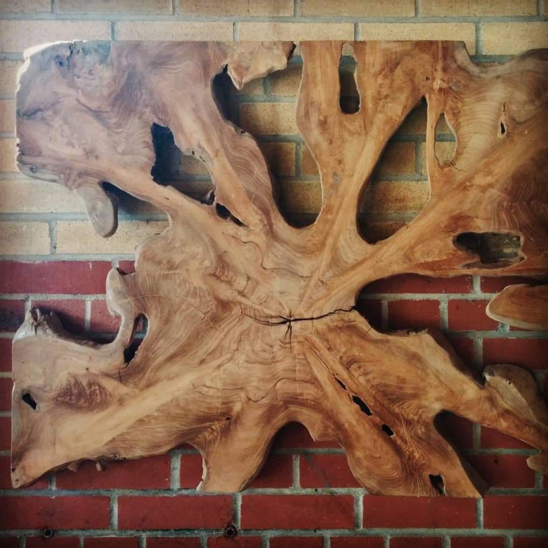 Teak Root Wall Art When Working With Salvaged Teak Roots The  Possibilities Are Endless? From End Tables And Coffee Tables, To Platters  And Bowls, The Organic… Regarding Roots Wood Wall Art (View 4 of 15)