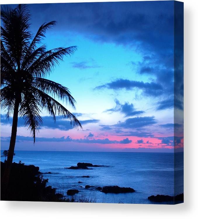 Tropical Island Pretty Pink Blue Sunset Landscape Canvas Print / Canvas Art Lola Capricola – Fine Art America In Sunset Landscape Wall Art (View 12 of 15)