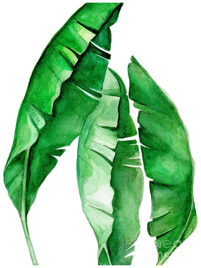 Tropical Leaf I Paintingpdfdecor Wall Art – Pixels Inside Tropical Leaves Wall Art (View 12 of 15)