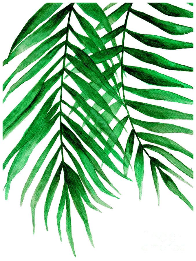 Tropical Leaf Ii Paintingpdfdecor Wall Art – Pixels Within Tropical Leaves Wall Art (View 14 of 15)