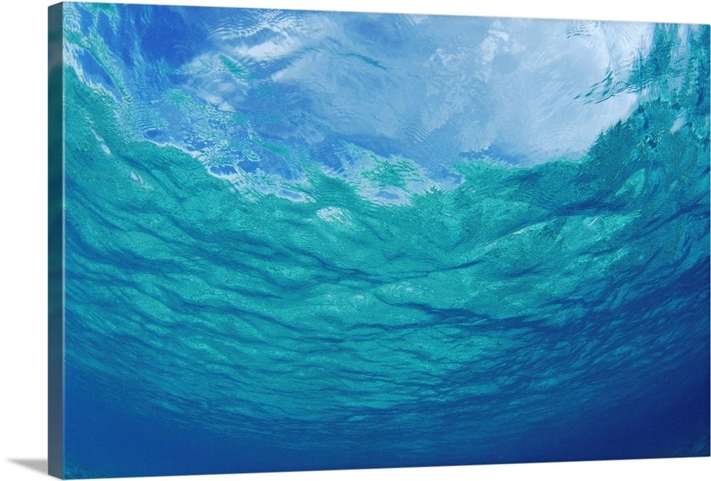 Underwater Ocean Looking Upward To Surface, Blue Sky Reflection Wall Art,  Canvas Prints, Framed Prints, Wall Peels | Great Big Canvas Within Underwater Wall Art (View 14 of 15)