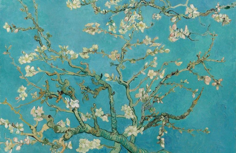 Van Gogh Almond Blossom Wallpaper Mural | Hovia Intended For Almond Blossoms Wall Art (View 8 of 15)