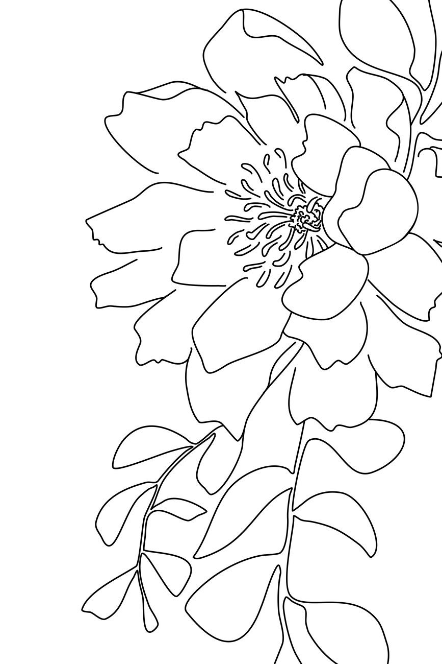 Wall Art Print | Floral Line Art | Europosters With Floral Illustration Wall Art (View 8 of 15)