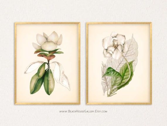 White Botanical Prints Cream Wall Art Magnolia Botanical – Etsy Italia With Regard To Cream Wall Art (View 1 of 15)