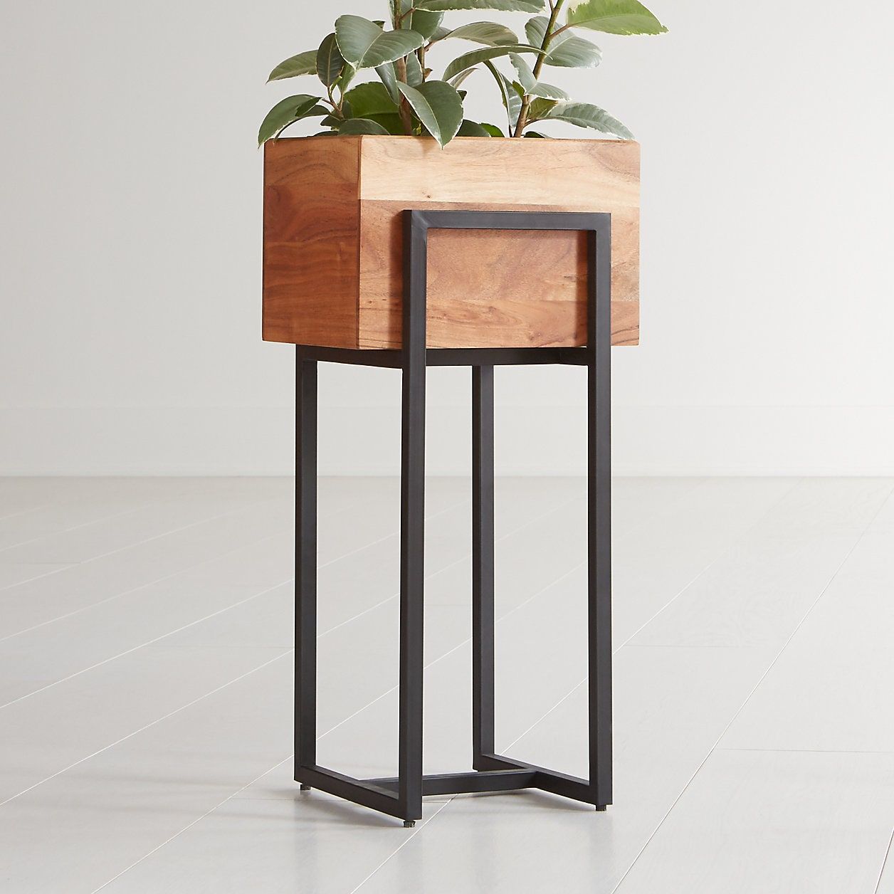 15 Best Indoor Plant Stands That Seriously Stand Out | Architectural Digest For Medium Plant Stands (View 14 of 15)