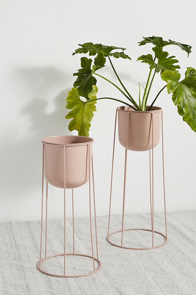 15 Best Indoor Plant Stands That Seriously Stand Out | Architectural Digest Within Modern Plant Stands (View 6 of 15)