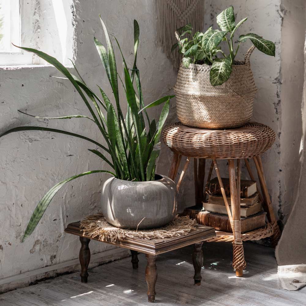 31 Exclusive Plant Stand Ideas To Introduce Into Your Interior Regarding Rustic Plant Stands (View 3 of 15)