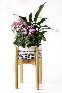 39 Best Plant Stands 2022 | The Strategist In Deluxe Plant Stands (View 12 of 15)