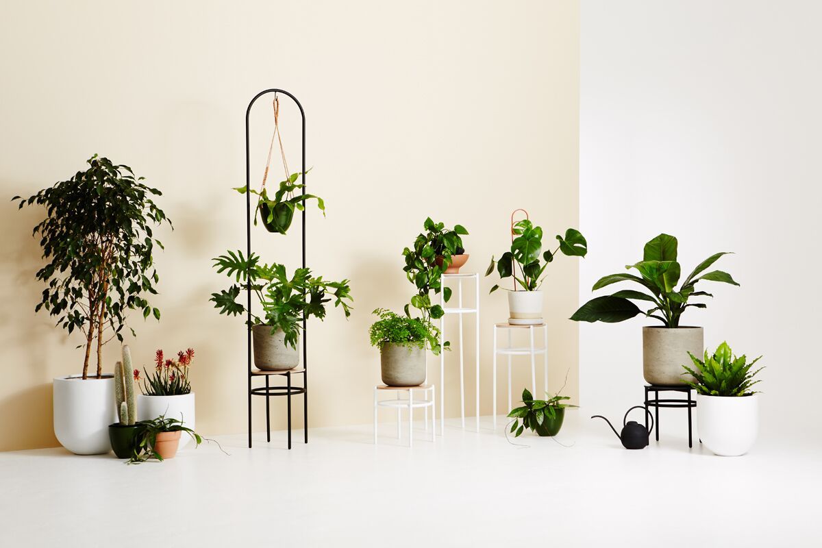 3D Printed Vases + Concrete Plant Stands: Ivy Muse'S New Range – The  Interiors Addict Within Ivory Plant Stands (View 5 of 15)