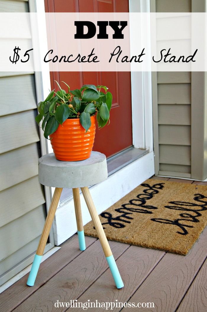 $5 Diy Concrete Plant Stand – Dwelling In Happiness Within Cement Plant Stands (View 1 of 15)
