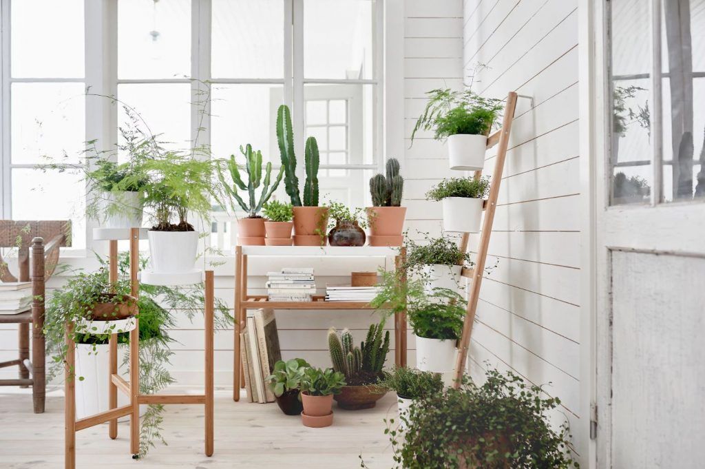 9 Modern Plant Stands For Every Budget – Livabl In Modern Plant Stands (View 15 of 15)