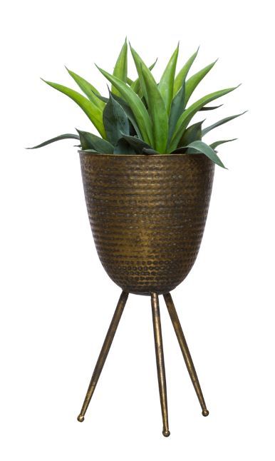 Aloe In Small Bronze Plant Stand – Lux Art Silks For Bronze Small Plant Stands (View 7 of 15)