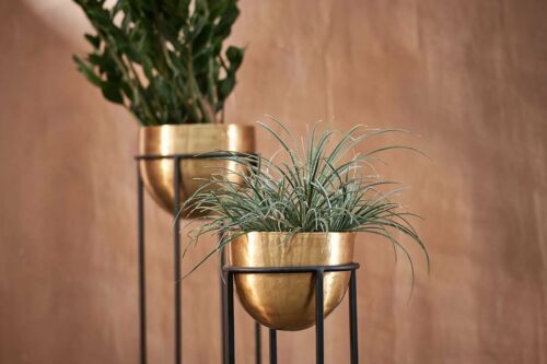 Antique Brass Gold Bowl Planter On Stand, Indoor Metal Plant Pot, Nkuku  Atsu | Ebay For Plant Stands With Flower Bowl (View 9 of 15)