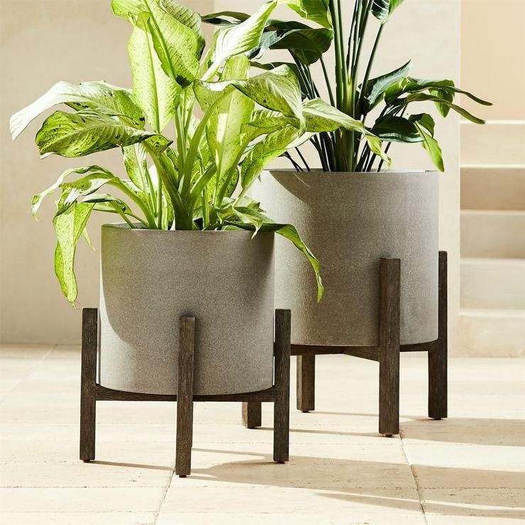 Ascoli Gray Stone Wood Stand Planters In Stone Plant Stands (View 11 of 15)