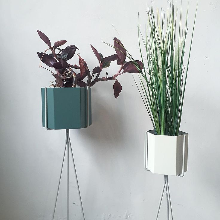 Bohemia On Instagram: “Ny Farge På Plant Stand Grey Kr 299,  Og 329,  Hexagon  Pot Dusty Green Xl 699,  Grey Large 329,  @F… | Plant Stand, Ferm Living,  Green Living Throughout Hexagon Plant Stands (View 12 of 15)