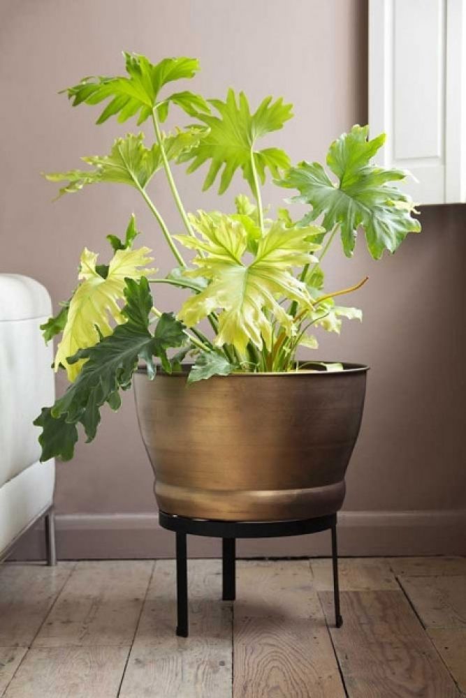 Brass Effect Planter With Stand | Rockett St George With Brass Plant Stands (View 8 of 15)