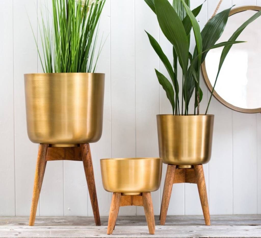 Brass Plant Pot On A Wooden Standthe Forest & Co |  Notonthehighstreet Intended For Brass Plant Stands (View 11 of 15)