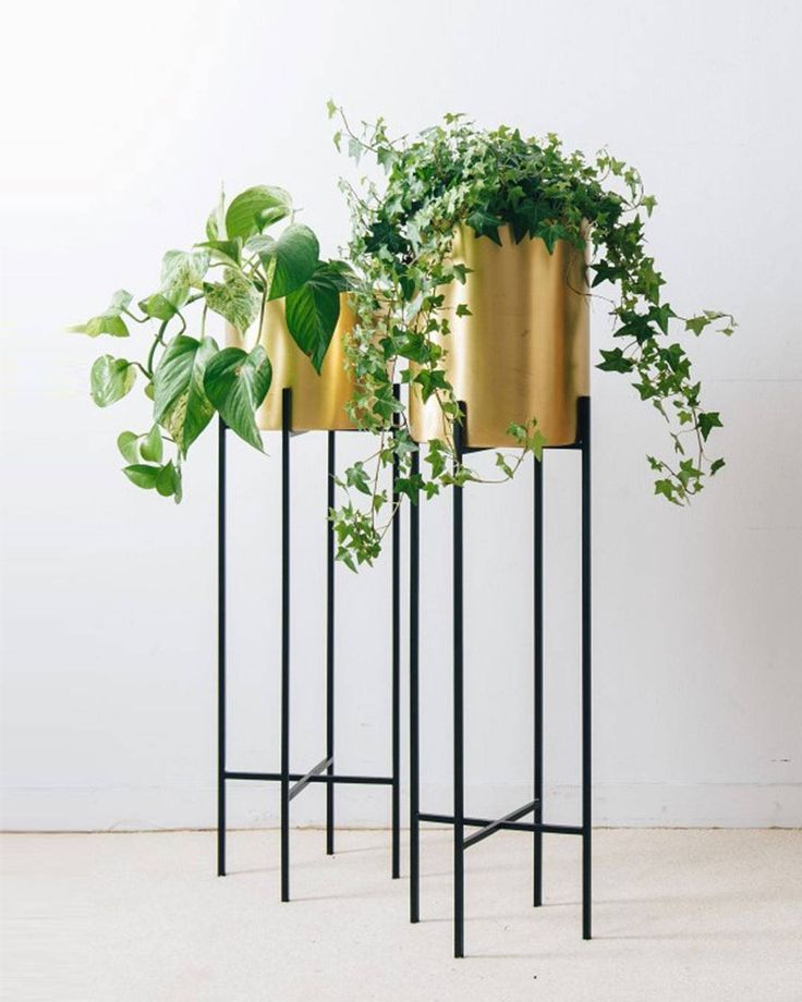 Bring Nature Into The Home With Our Deni Plant Stand And Brass Pot (View 7 of 15)