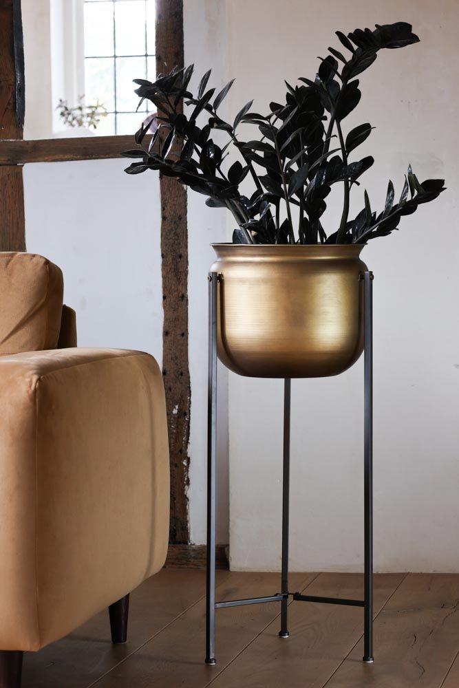 Bronze Planter On Metal Stand | Rockett St George With Regard To Bronze Small Plant Stands (View 1 of 15)