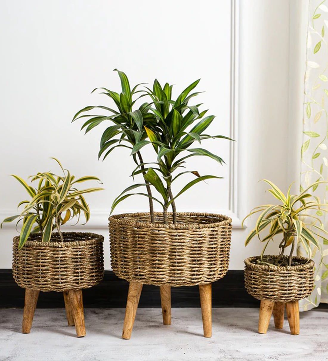 Buy Brown Metal Planter Stand With Jute Rope And Wooden Legs, Set Of 3 Foliyaj Online – Metal Planter Stands – Pots & Planters – Home Decor –  Pepperfry Product With Regard To Brown Plant Stands (View 14 of 15)