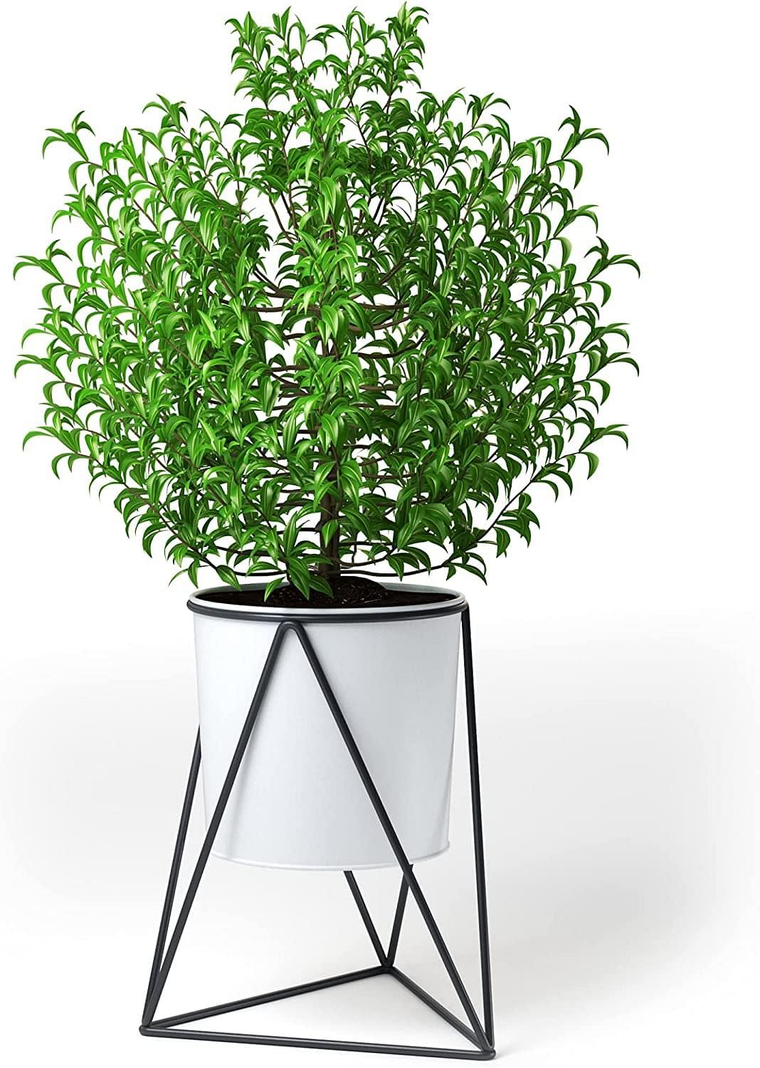 Buy Indoor Plant Stand With Pot – Kensington London Hand Finished Grey  Metal Tripod Stand And White Metal Pot – House Plant And Flower Holder –  Powder Coated Galvanized Iron Online At Lowest In Powdercoat Plant Stands (View 9 of 15)