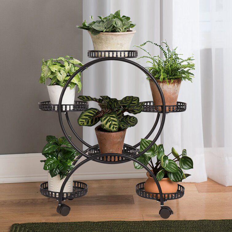Canora Grey Ascension Round Multi Tiered Plant Stand & Reviews | Wayfair For Round Plant Stands (View 5 of 15)