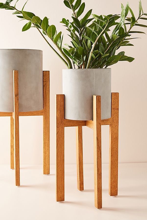Cement Plant Stands | Decor, Modern Plant Stand, Diy Plant Stand For Cement Plant Stands (View 10 of 15)